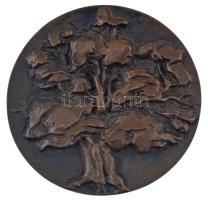 Martsa István (1899-1986) 1964. "Bábolnai Állami Gazdaság 1789-1964" öntött bronz plakett ...