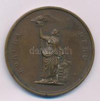 1931. Borúra derű (Jedlik Ányos-díj) bronz érdemérem hátoldalán A Magyar Tudományos Akadémia Hunyady Sándornak (drámaírónak) 1931. gravírozással (45mm) T:XF patina