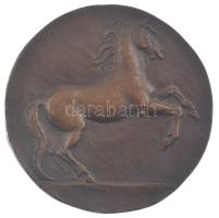 DN lovat ábrázoló bronz plakett hátoldalán parafa rátéttel (97mm) T:XF