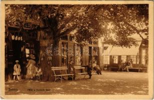 1909 Szliács, Sliac; Fő tér, Kossuth fa, Kerekes Miklós üzlete és saját kiadása / main square, shop, Kossuth tree (EK)