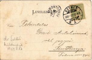 1902 Szeged, Kossuth szobor. Engel Lajos kiadása (fa)