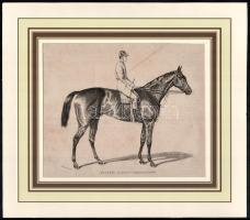 1876. KISBÉR, az epsomi és longehampsi győző, rotációs fametszet. 18x22 cm