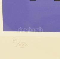 Victor Vasarely (1908-1997): Katzag. Szitanyomat, papír. Jelzett, számozott VI/XXX. Üvegezett fakere...