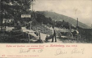 Wien XIX. Kahlenberg Restaurant