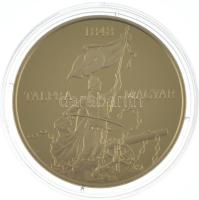 Csontos Attila DN Talpra magyar - Az 1848-as forradalom története / Bánk bán aranyozott bronz emlékérem (38mm) T:PP