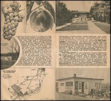 cca 1930 Érd-parkváros parcellázásának ismertetése, kihajtható, képekkel illusztrált prospektus