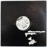 Tom Wilson - Techno Cat (Remix). Vinyl, 12, 45 RPM, 33 1/3 RPM, ZYX Music, Németország, 1995. VG, sérült borítóban.