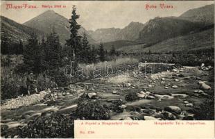 Tátra, Magas-Tátra, Vysoké Tatry; A Poprád a Menguszfalvi völgyben, horgász / Mengsdorfer Tal und Popperfluss, fishing man. Franz Pietschmann 1905. No. 1798.