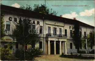 1910 Budapest II. Császárfürdő