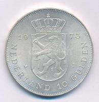 Hollandia 1973. 10G Ag "Julianna - uralkodásának 25. évfordulója" T:AU Netherlands 1973. 1...
