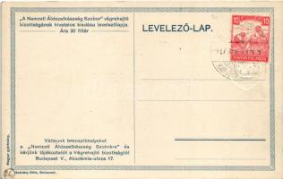 1917 Nemzeti Áldozatkészség Szobra dombornyomott segélylap / WWI Austro-Hungarian K.u.K. military ch...