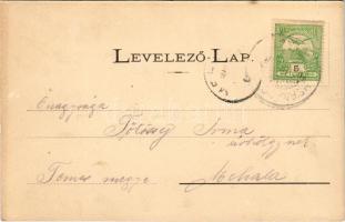 Hernádcsány, Abaújcsány, Cana; Műmalom / mill