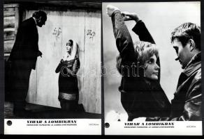 cca 1967 ,,Vihar a lombikban" című csehszlovák filmszatíra jelenetei és szereplői, 27 db vintag...