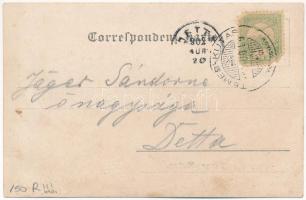 1902 Temeskutas, Temes-Kutas, Gudurica; Gruss aus Temes-Kutas / Osztrák-magyar katonák és tisztek cs...