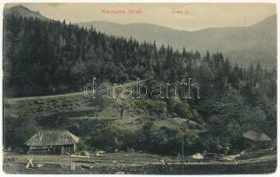 1910 Kovászna-fürdő, Baile Covasna; Erdei út. Szabó nyomda kiadása / forest road (EM)