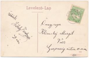 1909 Ruszkabánya, Rusca Montana; nyaralóhely. Fuchs fényképei után / holiday resort, spa (EK)