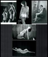 Különböző szolidan erotikus felvételek, 5 db modern nagyítás, 15x10 cm