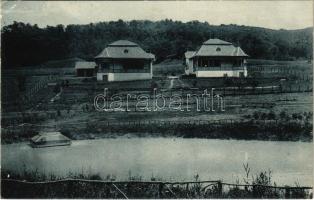 Báznafürdő, Baile Bazna, Bad-Baassen; Villa Éltető. Franz Wendler kiadása / villa (EK)