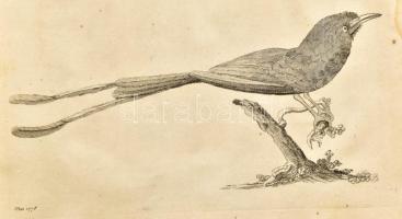 Observations sur la physique, sur l'histoire naturelle et sur les arts, avec des planches en ta...