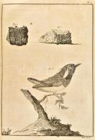 Observations sur la physique, sur l'histoire naturelle et sur les arts, avec des planches en ta...