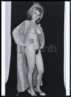 cca 1970 ,,Szexis" köntös tartalom szolgáltatása, szolidan erotikus felvétel, 1 db modern fotónagyítás, 21x15 cm