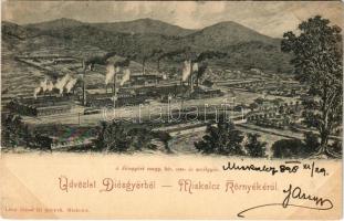 1898 Diósgyőr (Miskolc), A diósgyőri magy. kir. vas- és acélgyár. Lövy József fia kiadása (EM)