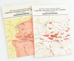 1977 Szurdokpüspöki Földtani és Észlelési térkép 1:10 000, 2 db, 70x100 cm