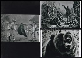 cca 1900 Kárpátok, medvevadászat (fotók és metszet), 3 db modern nagyítás, 10x15 cm