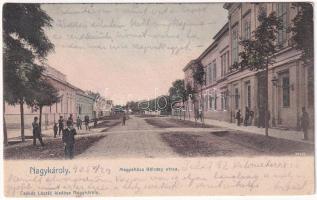 1905 Nagykároly, Carei; Megyeháza, Kölcsey utca. Csókás László kiadása / county hall, street