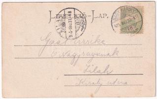 1905 Nagykároly, Carei; Megyeháza, Kölcsey utca. Csókás László kiadása / county hall, street