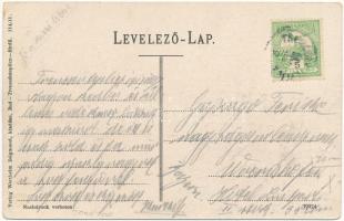 Trencsén, Trencín; vár, vasúti híd. Wertheim Zsigmond kiadása / Trenciansky hrad / castle, railway b...