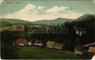 1916 Stájerlak, Steierlak, Stájerlakanina, Steierdorf, Anina; nyaraló. Scheitzner kiadása / Sommerfrische / villa, spa (EM)