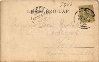 1902 Feredőgyógy, Fürdőgyógy, Algyógyfürdő, Geoagiu-Bai, Feredeu; fürdő / spa, baths. photo (fa)