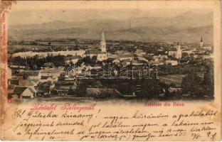 1900 Belényes, Beius; látkép / general view (fl)