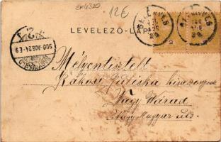 1900 Belényes, Beius; látkép / general view (fl)