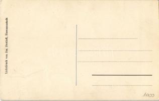 Nagyszeben, Hermannstadt, Sibiu; Kerékpáros akrobaták. Lichtdruck v. Jos. Drotleff / bicycle acrobat...