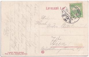 1913 Szatmárnémeti, Satu Mare; Rákóczy utca, Virág csarnok üzlete. Cseplák Bálint kiadása, Tóth S. I...