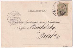 1903 Medgyes, Mediasch, Medias; Schmiedgasse / utca, Friedrich Binder üzlete. Fritz Guggenberger kia...