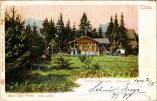 1903 Alsótátrafüred, Tátrafüred, Unter-Schmecks, Dolny Smokovec (Tátra, Magas Tátra, Vysoké Tatry); Villa Gráb. Feitzinger Ede 47 a bt.