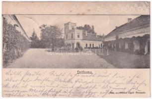 1902 Drétoma, Drietoma, Drithoma; Rakovszky-Chorinsky kastély. Gansel Lipót 256. / castle (EK)