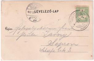 1902 Drétoma, Drietoma, Drithoma; Rakovszky-Chorinsky kastély. Gansel Lipót 256. / castle (EK)