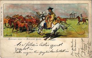 1899 Hortobágy, debreceni ménes, litho. Walter Haertel No. 289. (fa)