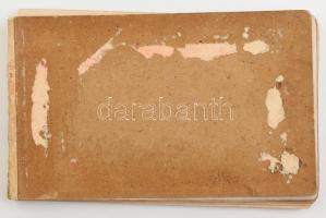 1894-1900 Régi emlékalbum, német nyelvű bejegyzésekkel, litografált illusztrációkkal. Sérült kötésbe...