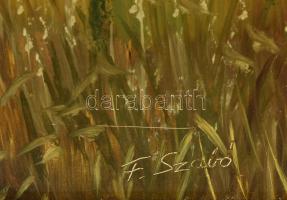 F. Szabó János (1958-): Eső után. Olaj, farost. Jelzett. Dekoratív fakeretben. 40x60 cm