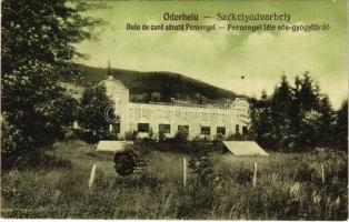 1928 Székelyudvarhely, Odorheiu Secuiesc; Fernengel-féle sós-gyógyfürdő. Kováts fényképész felvétele után / Baia de cura sarata Fernengel / spa