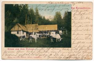 1902 Szentkeresztbánya, Vlahita Noua, Minele Lueta (Lucta) (Szentegyháza, Vlahita); Dobogó fürdő / spa (Rb)