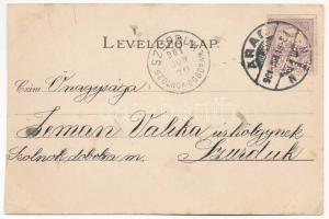 1901 Arad, Vértanú szobor, Arad megye címere, Athenaeum Rt. kőnyomda / martyrs' statue, coat of...