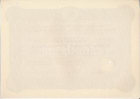 Németország / Weimari Köztársaság / Berlin 1929. "Terrain-Gesellschaft am Teltow-Canal Rudow-Jo...