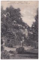 1910 Brassó, Kronstadt, Brasov; Am Königsweg (Die Linde) / Hársfa a Király úton, villa / street view, villa, linden tree (r)