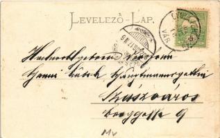 1902 Gyulafehérvár, Karlsburg, Alba Iulia; Festungsseite / látkép, Hungária szálloda, Takarékpénztár...